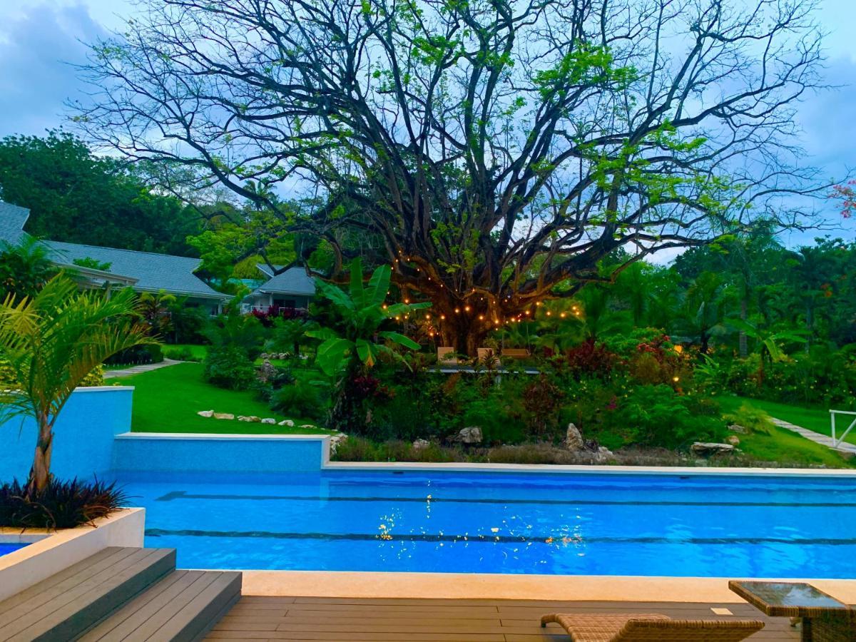 Aves Hotel Montezuma Buitenkant foto